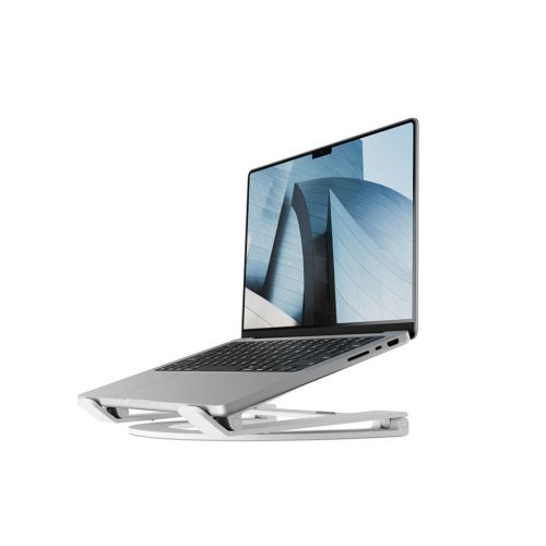 Twelve South Curve Flex Stand MacBook Pro/Air 13/16