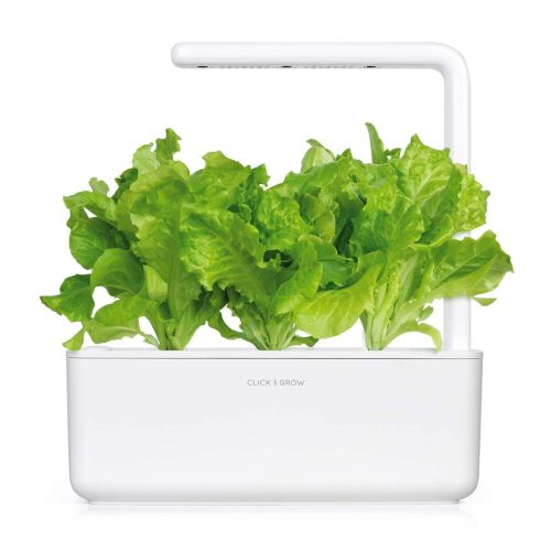 Click and Grow Smart Garden Refill 3-pack - Green Lettuce